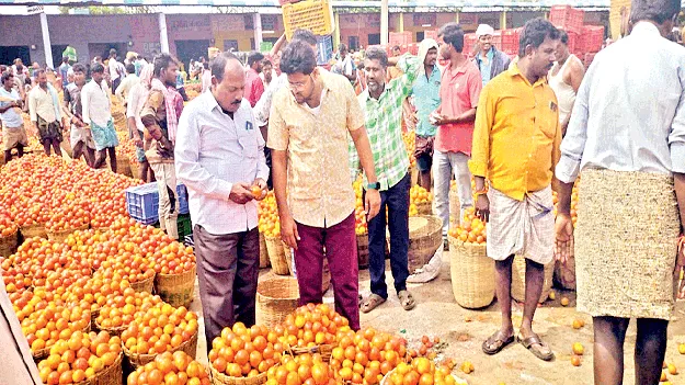 ‘టామోటాకు మద్దతు ధర’ 