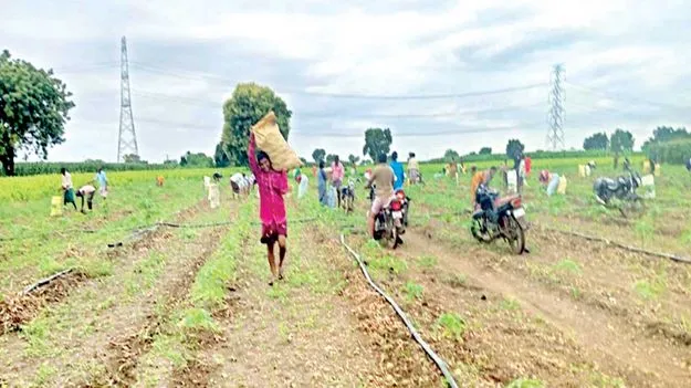 నష్టాల ఉల్లి..!