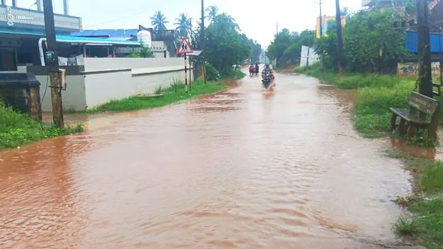 ఏలూరు జిల్లాలో భారీ వర్షం