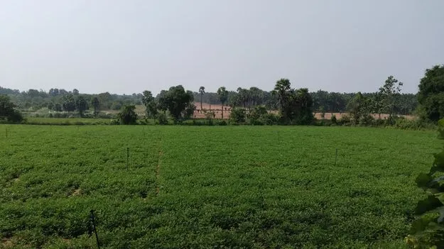 ఏజెన్సీ ప్రాంతంలో ఆయుధ డిపో