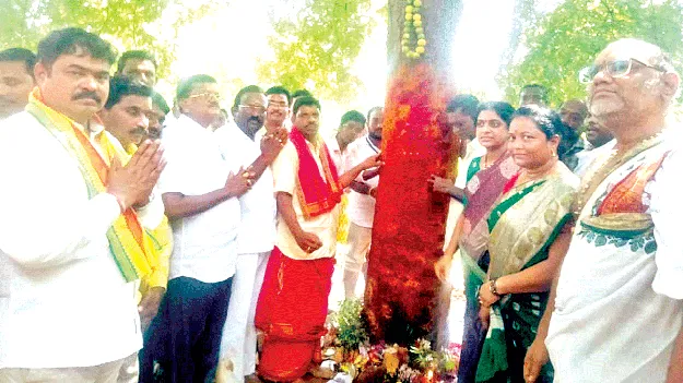  Sirimanu tree with great respect  సిరిమాను చెట్టుకు ఘనంగా పూజలు