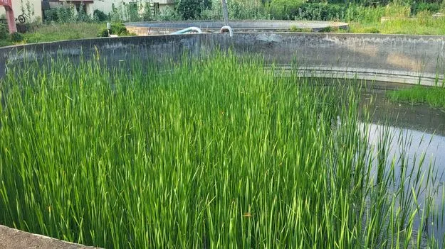 ఈ నీరు తాగలేం..!