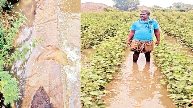 చెక్‌డ్యాం ధ్వంసం.. నీట మునిగిన పొలాలు