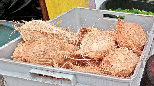 Coconut rates hike కొండెక్కిన కొబ్బరి