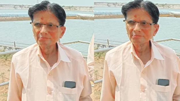 S V Rama Rao Passes Away: సాహిత్య విమర్శకుడు ఆచార్య ఎస్వీ రామారావు కన్నుమూత