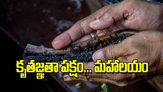 Mahalaya Paksha: కృతజ్ఞతా పక్షం మహాలయం