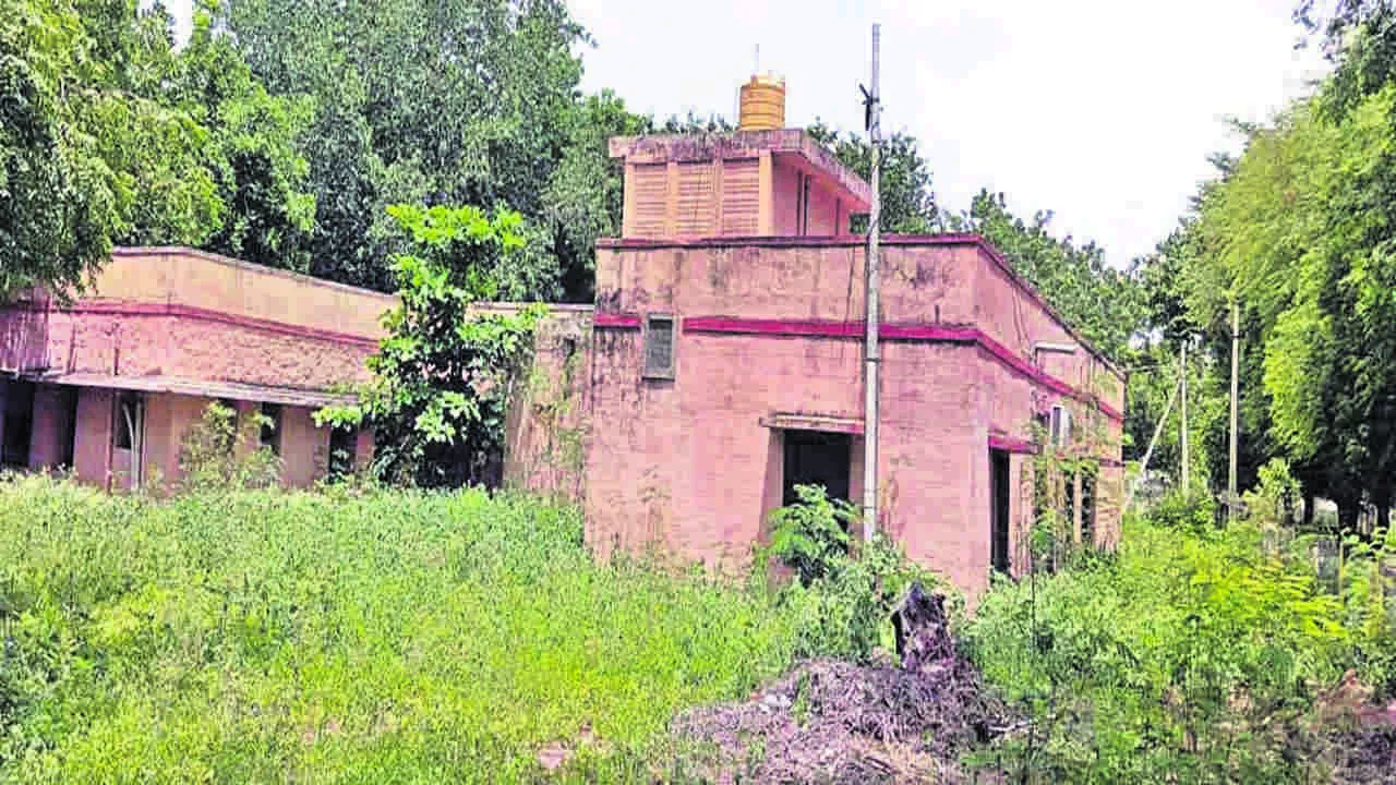 OFFICE: అపరిశుభ్రంగా...