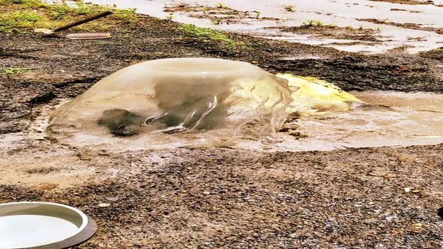 పాతాళ గంగమ్మ పైపైకి! 