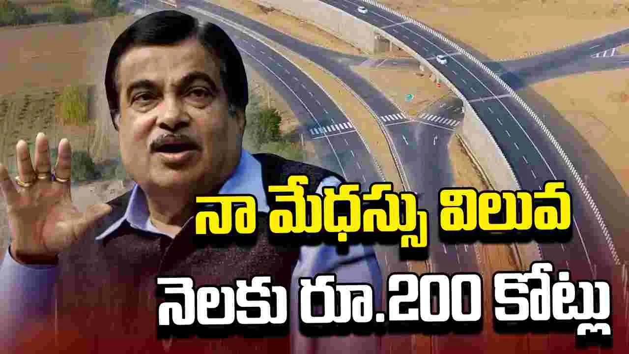 Nitin Gadkari: నా మేథస్సు విలువ నెలకు రూ.200 కోట్లు, డబ్బుకు కొదవలేదు