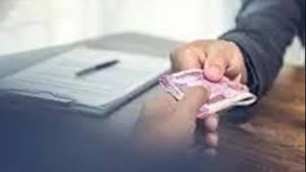 Contractor Corruption: కాంట్రాక్టర్ల జేబుల్లోకే  చేప పిల్లలు