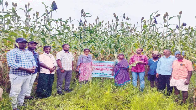 రైతులు విత్తనోత్పత్తిపై దృష్టి సారించాలి 