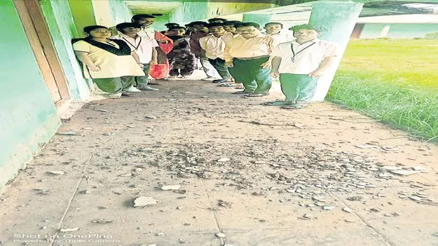 కళాశాలకు వెళ్లాలంటే భయం