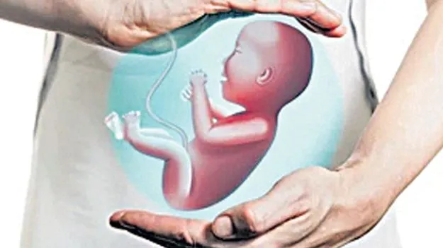 Fertility Centers: లోపాల పుట్టలుగా ఫర్టిలిటీ కేంద్రాలు