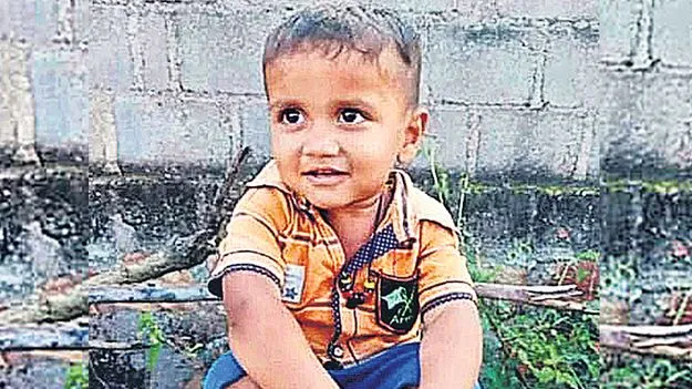 Street Dog Attack: రేబిస్‌తో బాలుడి మృతి