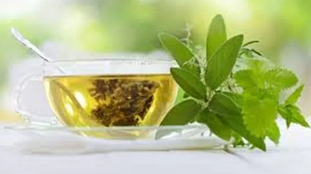 Green Tea: గ్రీన్‌ టీతో మెదడు చురుకుదనం