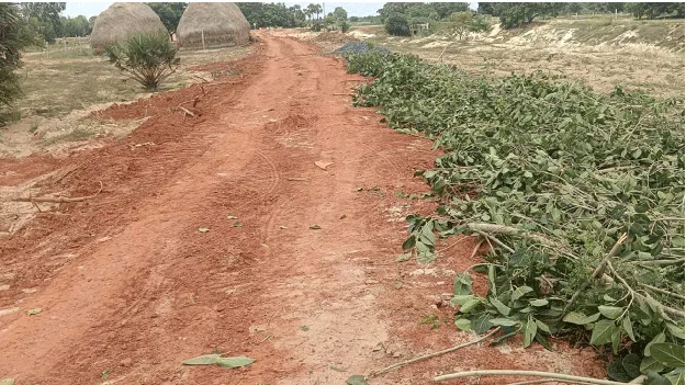  సిలికా కోసం నిబంధనల ‘దారి’ తప్పారు!