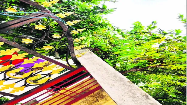 POLE: విరిగిపడిన విద్యుత స్తంభం