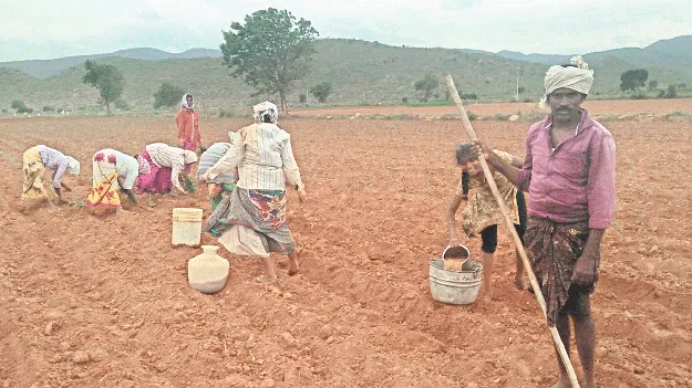 వాన కురిసే.. కాడి కదిలే