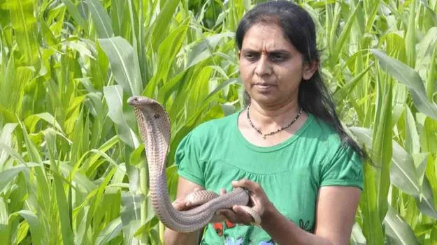 Snake Woman India Vanita Borade: ఈ వనిత సర్పమిత్ర