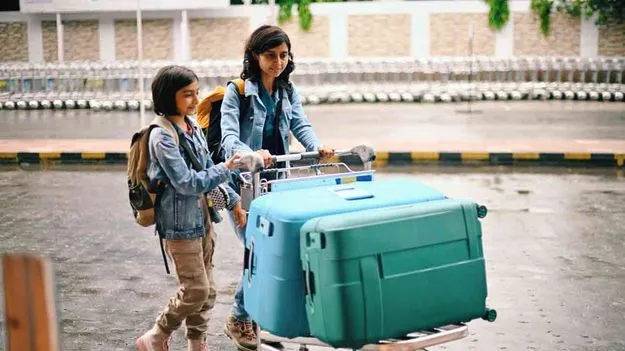 Banned Items In Flights: ఇవి తీసుకువెళ్తే ప్రమాదమే