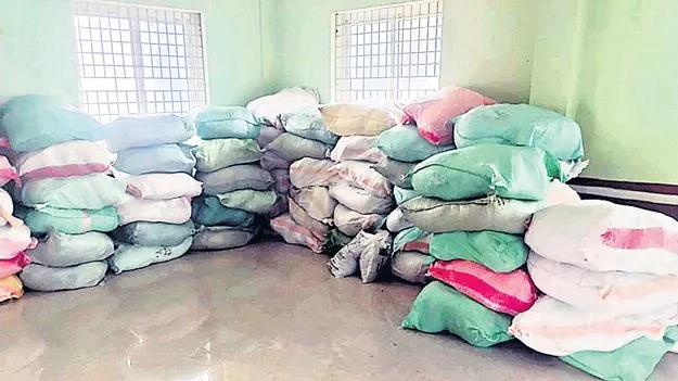 నేటి నుంచి రాజ్‌మా విత్తనాల పంపిణీ