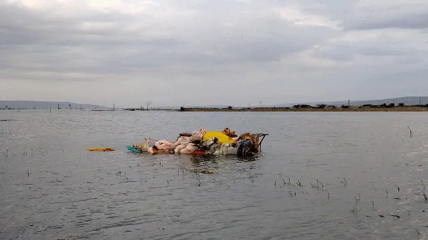 గంగ ఒడికి గణనాథులు