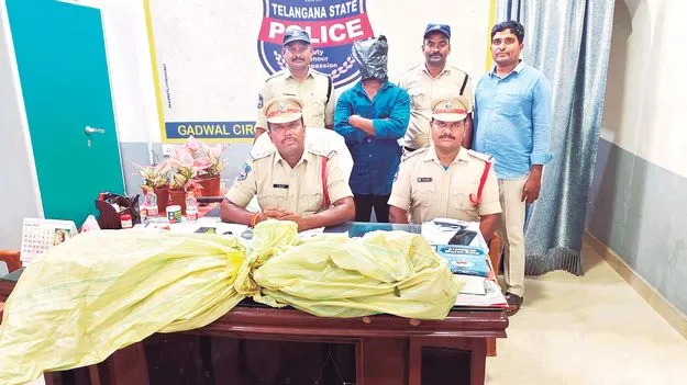 పొలంలో గంజాయి మొక్కలు స్వాధీనం