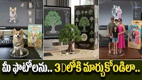 Google Gemini 3D Printing: మీ ఫొటోను 3Dలోకి మార్చాలనుందా.. అయితే సింపుల్‌గా ఇలా చేయండి చాలు.. 