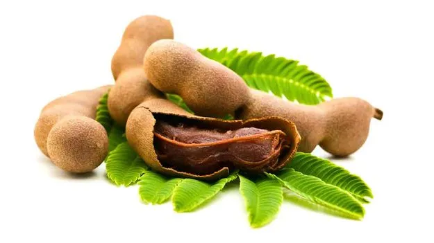 Tamarind Health Benefits: ప్లాస్టిక్‌ను వదిలించే చింతపండు