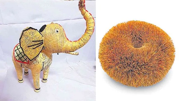 Coconut Husk Uses: కొబ్బరిపీచుతో కొత్తగా