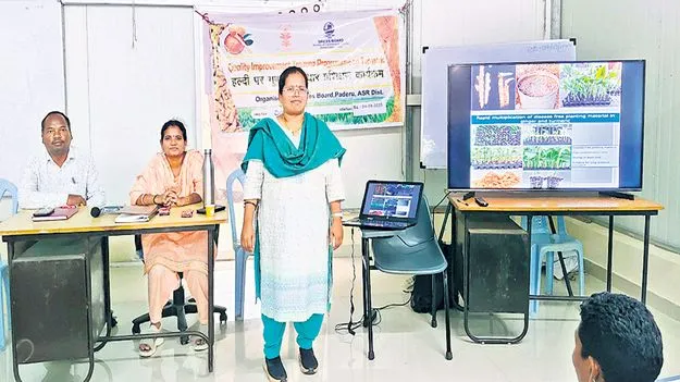 నూతన యాజమాన్య పద్ధతులతో రైతులకు మేలు