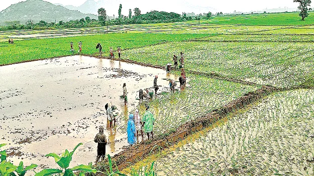  94 శాతం పూర్తి