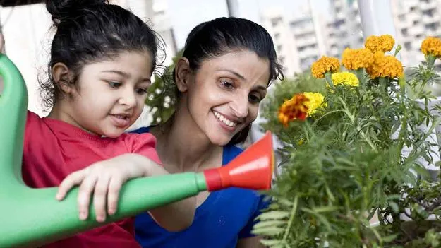 Revive Dying Plants: మొక్కలు వాడిపోతున్నాయా