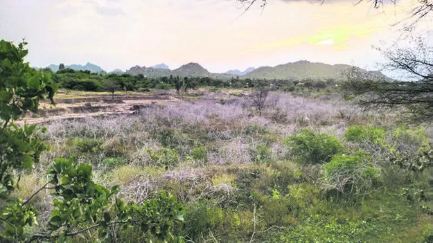 WATER:  హంద్రీనీవా నీరు వచ్చేనా..?