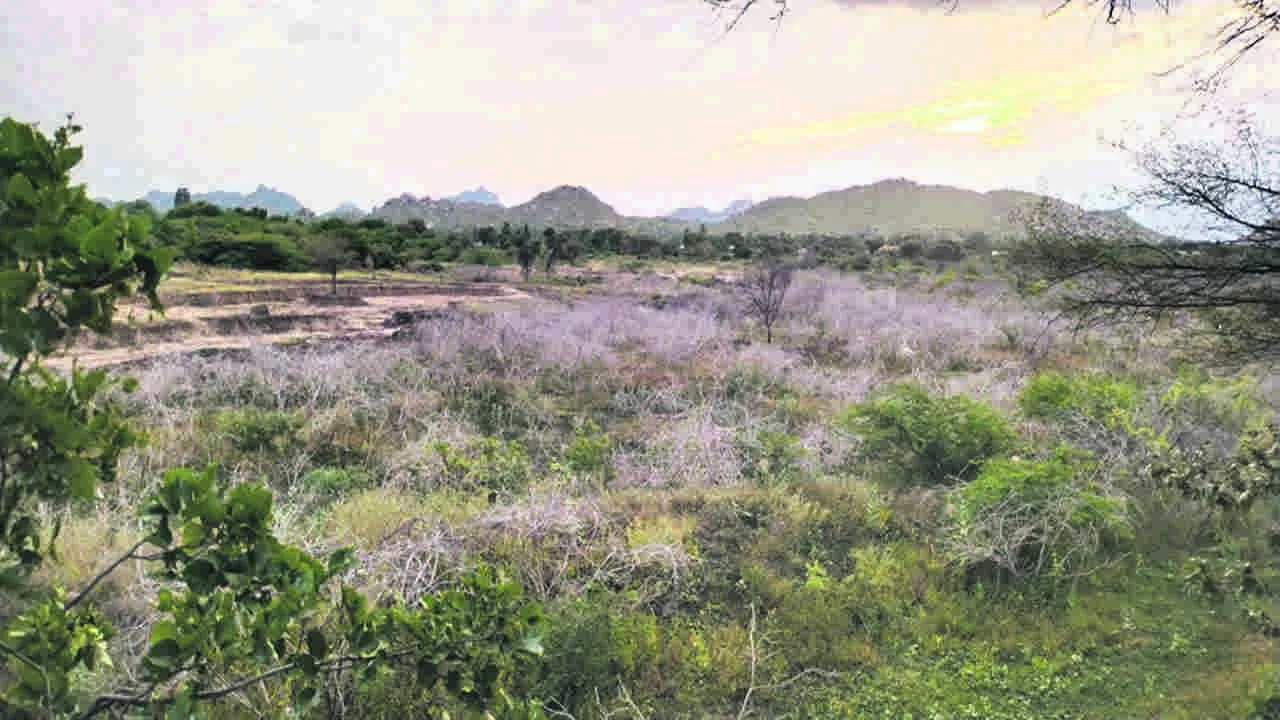 WATER:  హంద్రీనీవా నీరు వచ్చేనా..?