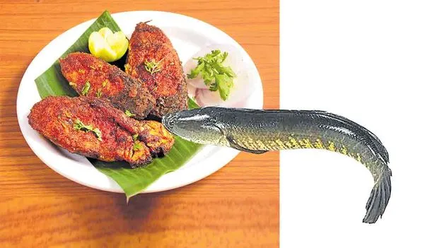 Korameenu Fish Fry Recipe: కొరమీను చేపల వేపుడు