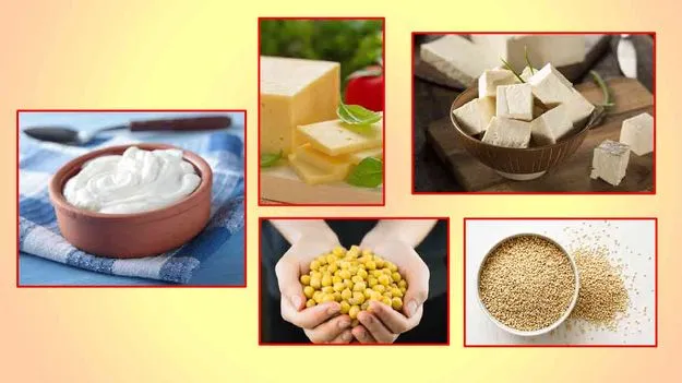 Best Vegetarian Protein: నాకు ప్రొటీన్‌ ఎలా లభిస్తుంది