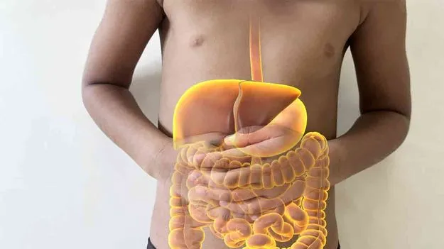 Constipation Relief: మలబద్ధకం వదలాలంటే