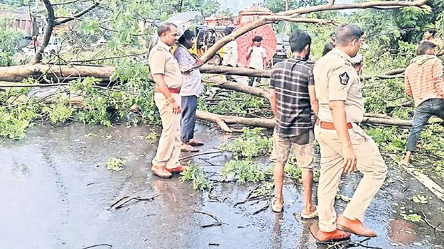 జాతీయ రహదారిపై కూలిన చెట్టు