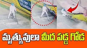 Chilling CCTV Footage Goes Viral: పాపం పెద్దాయన.. రోడ్డుపై సైకిల్ తొక్కుకుంటూ వెళుతుండగా..