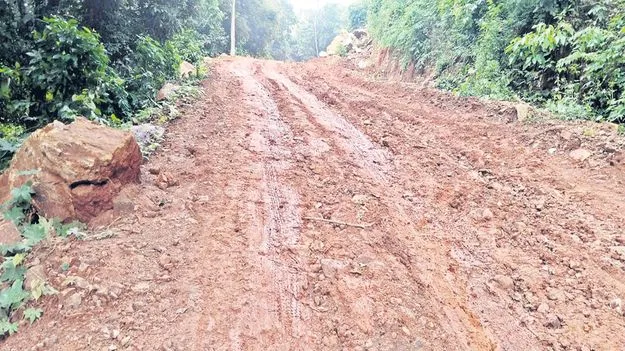 చెరువులవేనం రోడ్డుపై నీలినీడలు