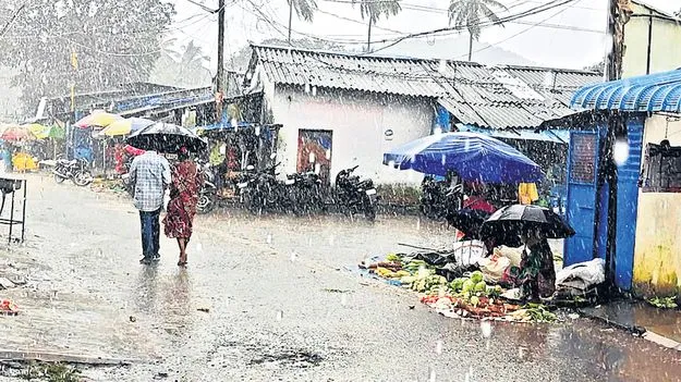 మన్యంలో ముసురు