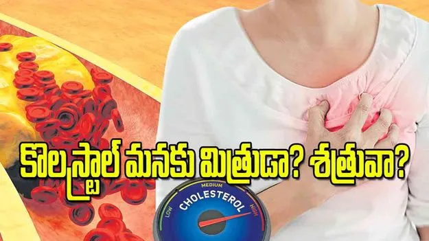 Cholesterol Risks and Management Tips: కొలస్ట్రాల్‌ మనకు మిత్రుడా శత్రువా