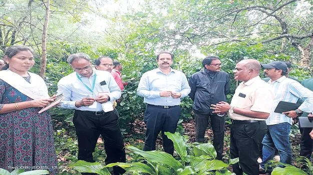  బెర్రీ బోరర్‌పై సమరం