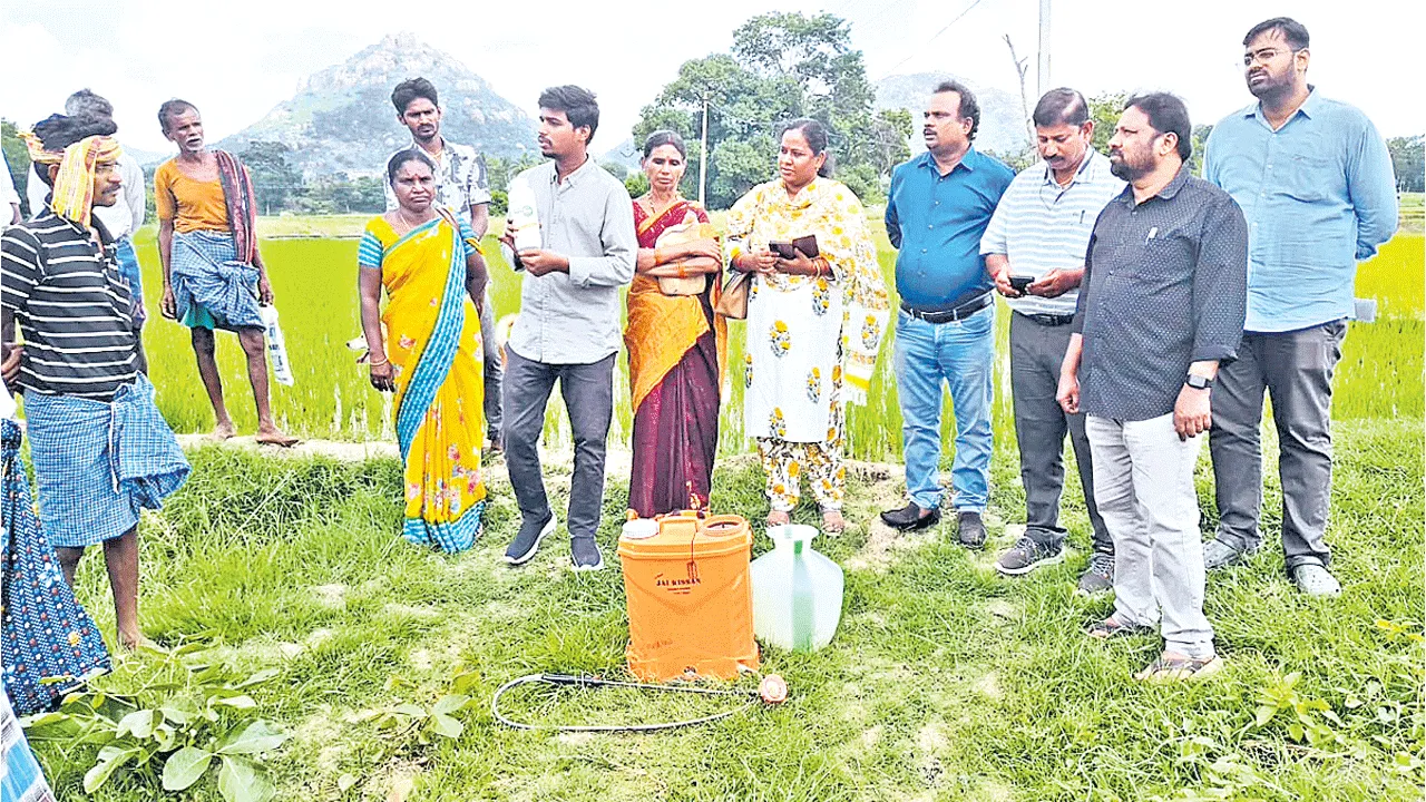 ‘నానో’తో అధిక దిగుబడులు