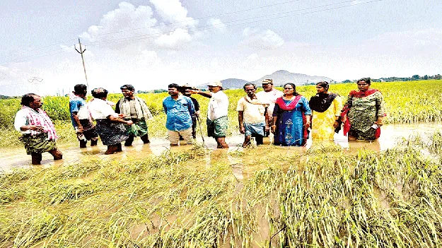 పంట నష్టంపై అధికారులకు తెలియజేస్తాం