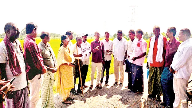   యూరియా పంపిణీకి చర్యలు