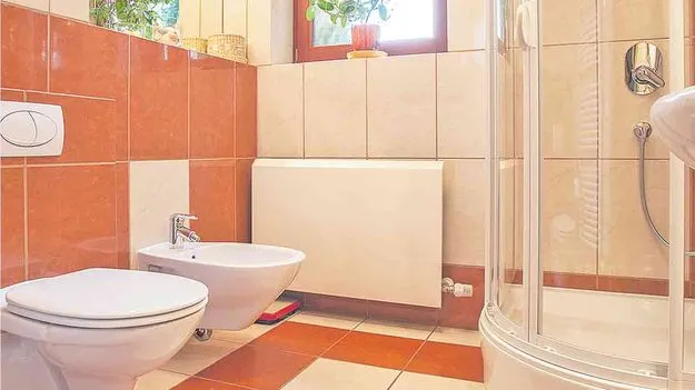 Bathroom Tips: బాత్‌రూమ్‌ సువాసనభరితంగా