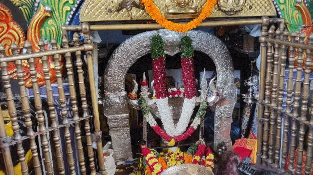 నేటి నుంచి పోలేరమ్మ జాతర