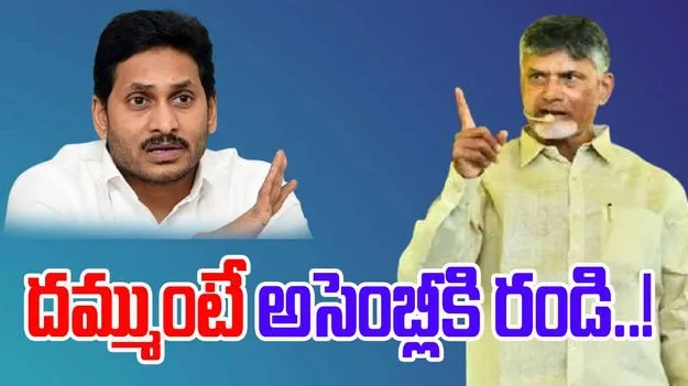CM Chandrababu: దమ్ముంటే సభకు రండి